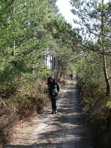 Mont Saint Michel 2010 - 065.jpg